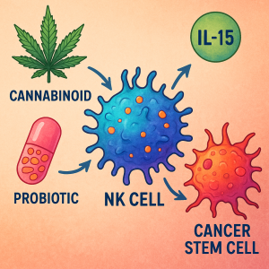 Unlocking Next-Gen Cancer Therapies: How Cannabinoids and IL-15 Boost Natural Killer Cells